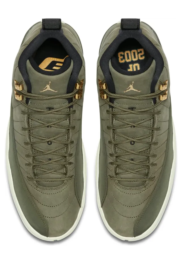 air-jordan-12 130690-301