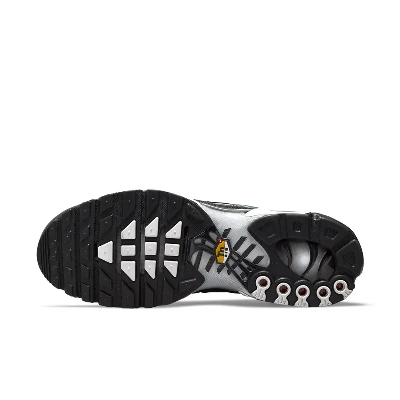 Nike TN Air Max Plus Dark Smoke Grey (DO6384-001)