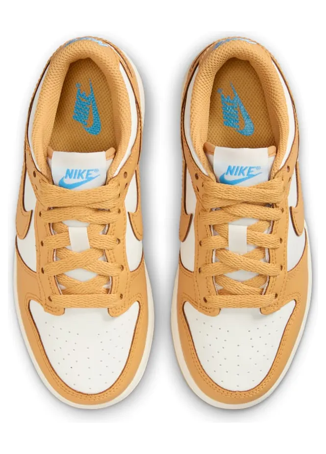 nike-dunk FB9108-700