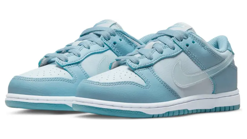 nike-dunk DH9756-401