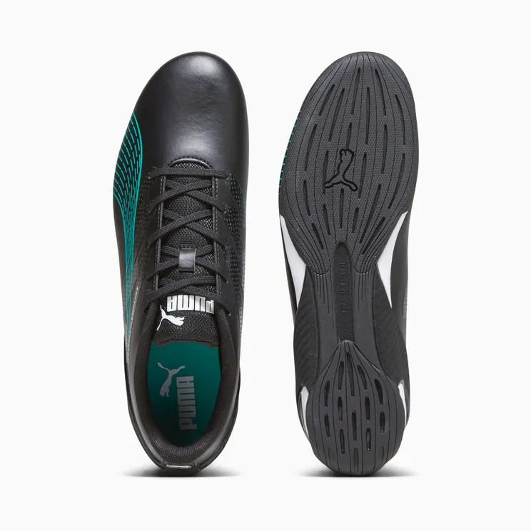 puma-carbon-cat 307542-02
