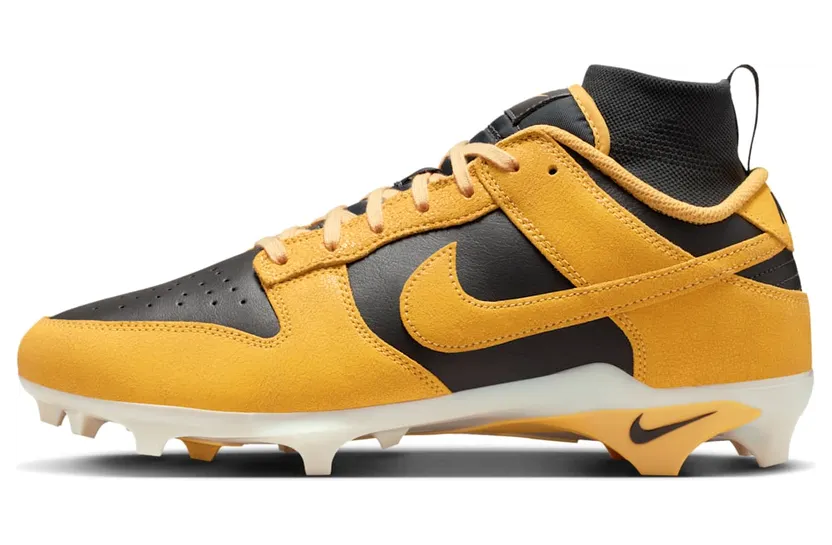 Nike Alpha Menace Dunk “Iowa” (HV6925-001)