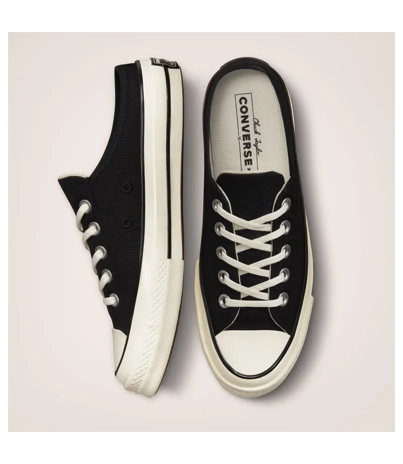 converse-chuck-taylor-all-star 172591C