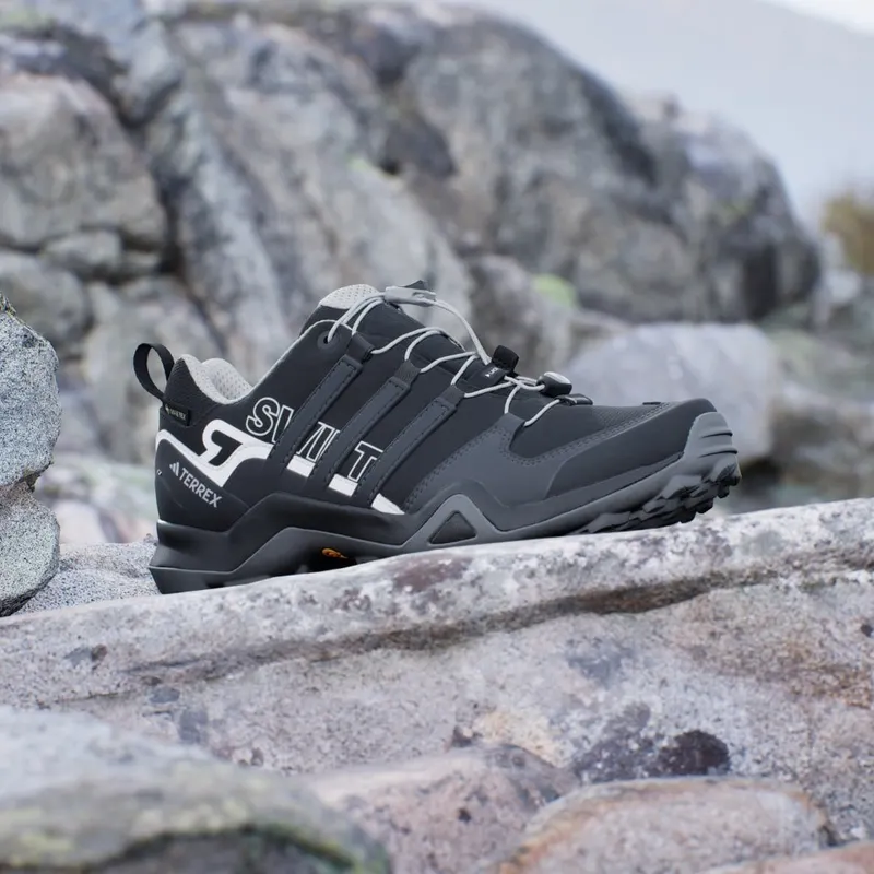 Adidas Terrex Swift R2 GORE-TEX Hiking Core Black / Dgh Solid Grey / Purple Tint (IF7634)