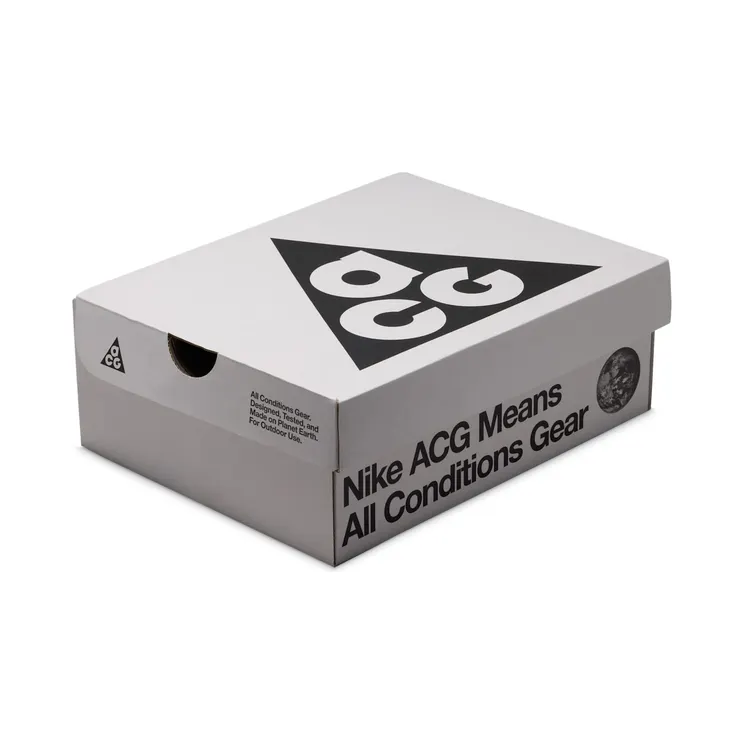nike-air-pegasus IH2305-400