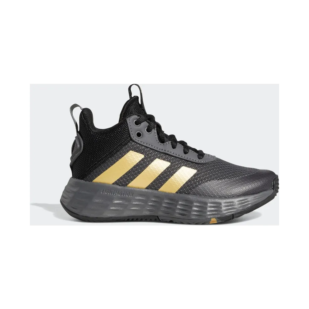 Adidas Ownthegame 2.0 Grey Five / Matte Gold / Core Black (GZ3381)