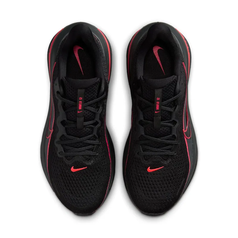 Nike Winflo 12 Black (HV9272-005)