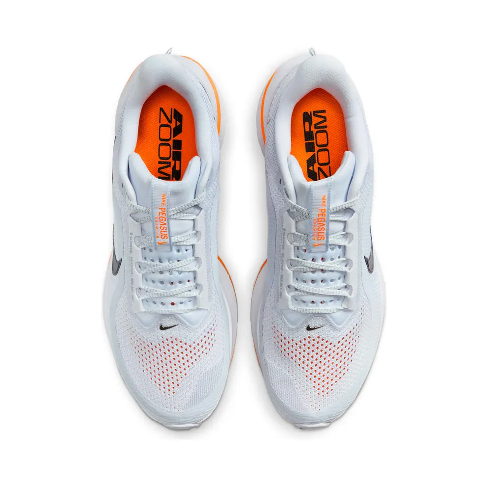 Nike Air Zoom Pegasus Premium Airscape (HQ2592-002)