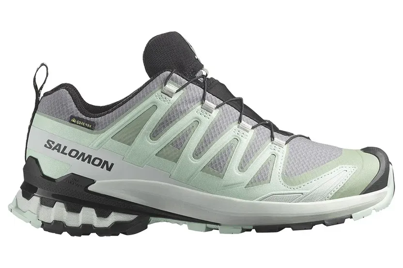 Salomon XA PRO 3D V9 GTX W für Damen, grau, Größe 36 ⅔ EU / 4 UK (L47823100)