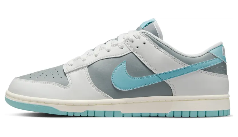 Nike Dunk Low HF5441-001