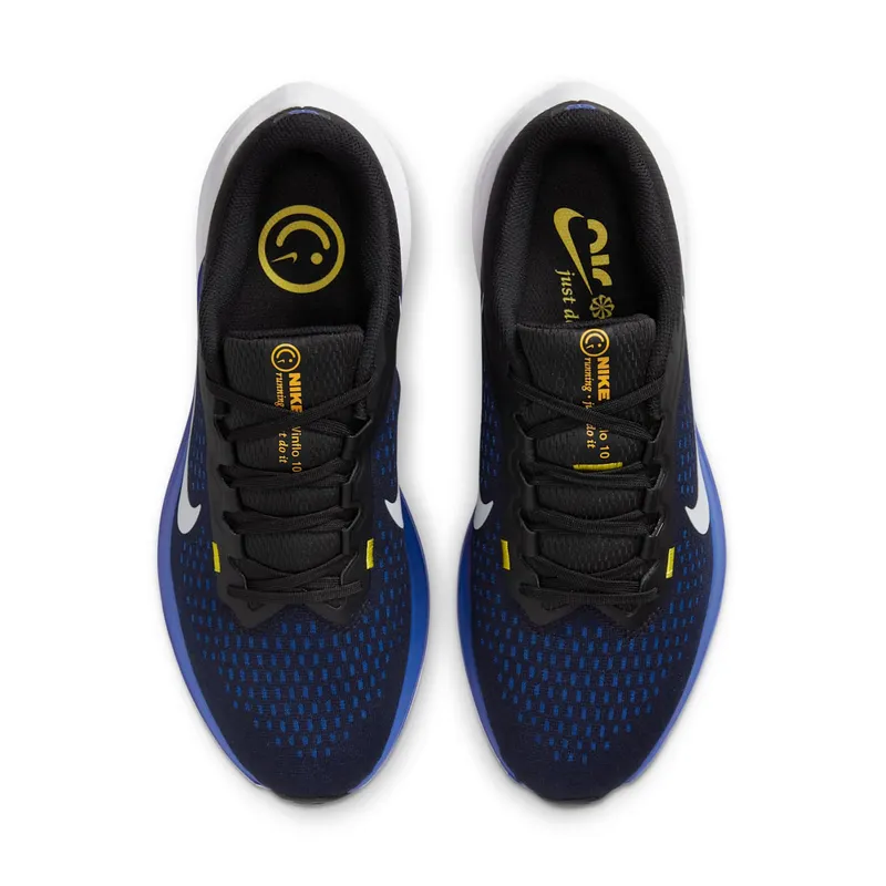 Nike Winflo 10 Black (DV4022-005)
