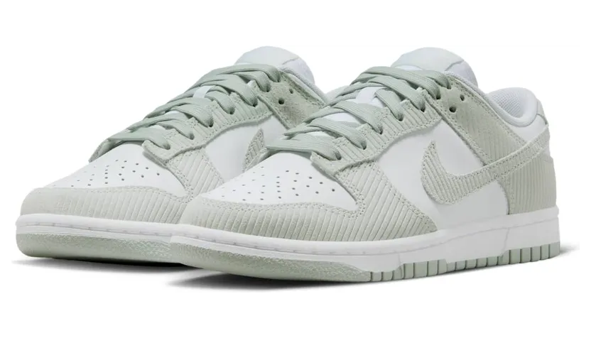 nike-dunk FN7658-100