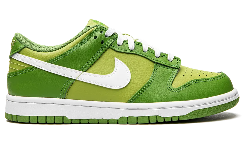 nike-dunk DH9765-301