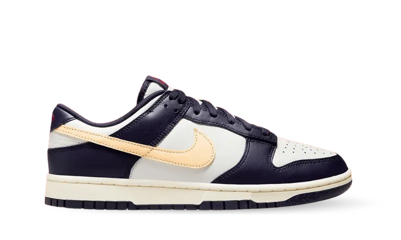 Nike Dunk Low Retro Melon Tint Purple Ink (FV8106-181)