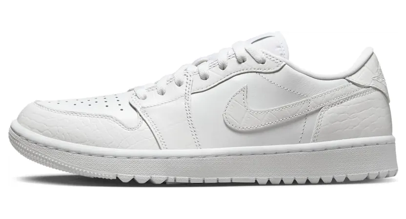 Air Jordan 1 DD9315-110