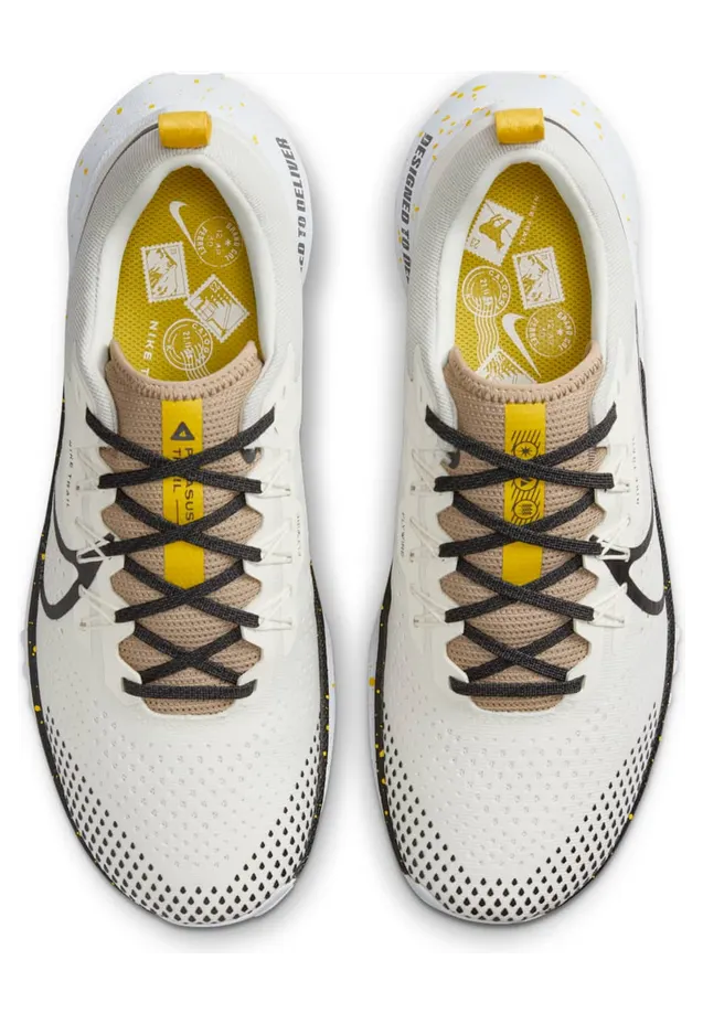nike-air-pegasus DJ6158-100
