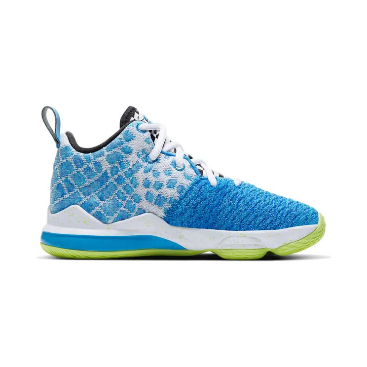 nike-lebron-17 BQ5595-434