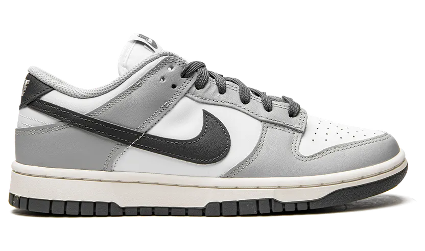 nike-dunk DD1503-117