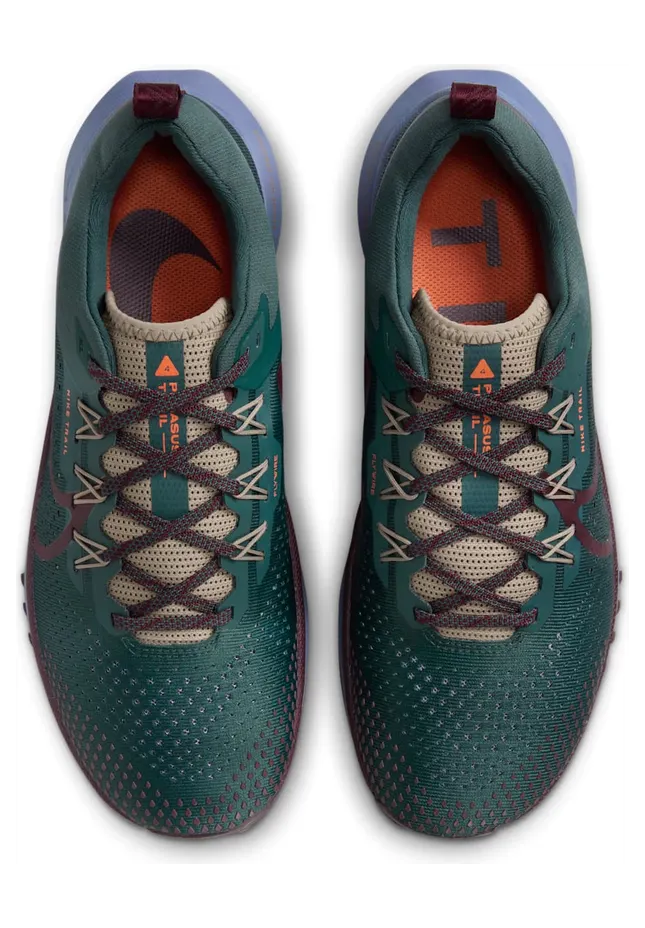 nike-air-pegasus DJ6158-300