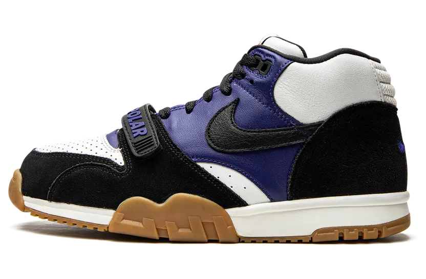 Nike SB Air Trainer 1 QS Polar Skate Co (CI6892-001)