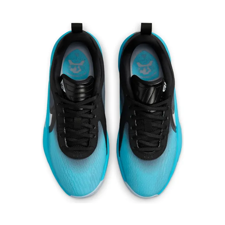 nike-zoom HV9532-001