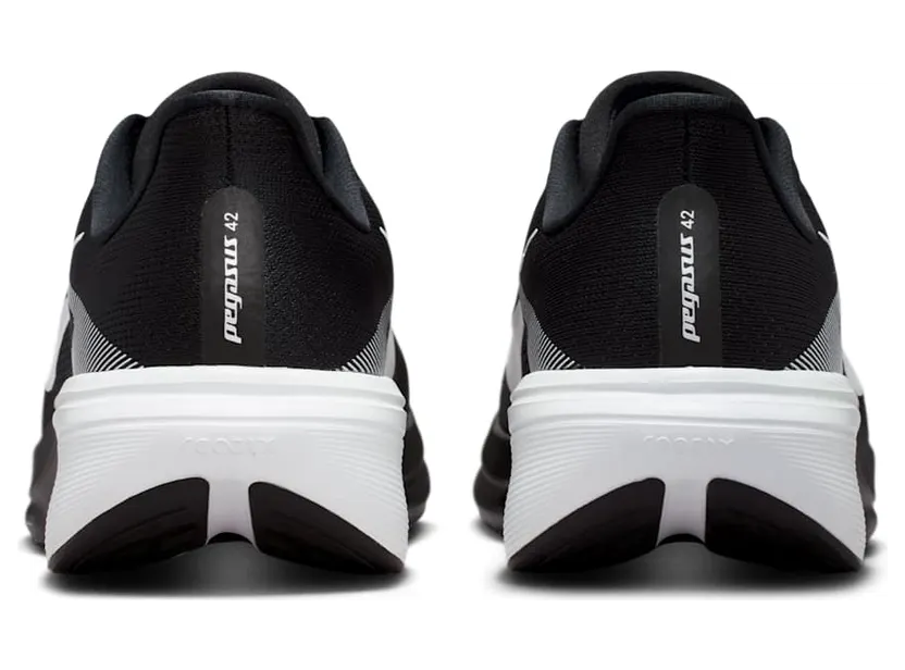 nike-air-pegasus IR1228-001