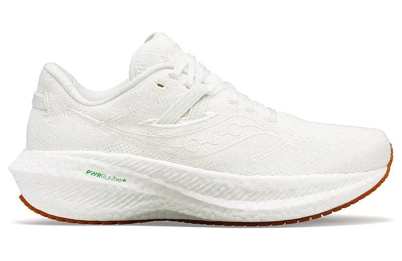 saucony-triumph S10761-100