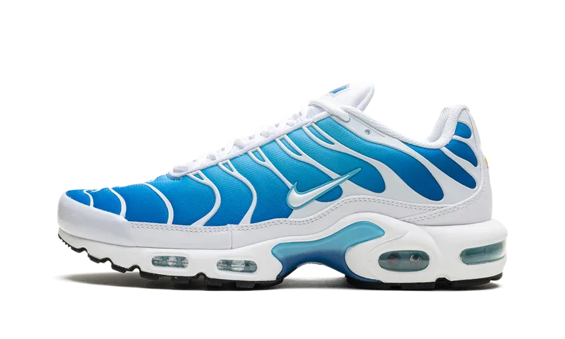 Nike Air Max Plus “Blue Gaze” (852630-411)