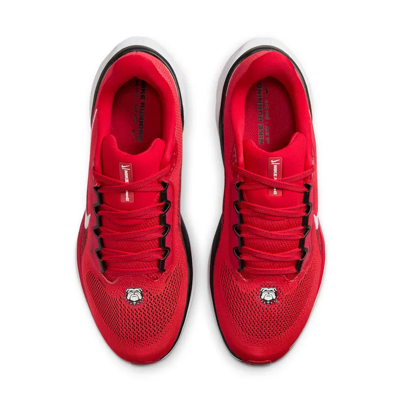 Nike Air Zoom Pegasus 41 Georgia (FZ5115-600)