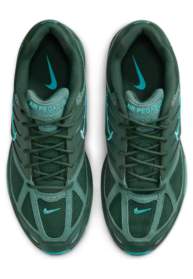 nike-air-pegasus FZ7354-300