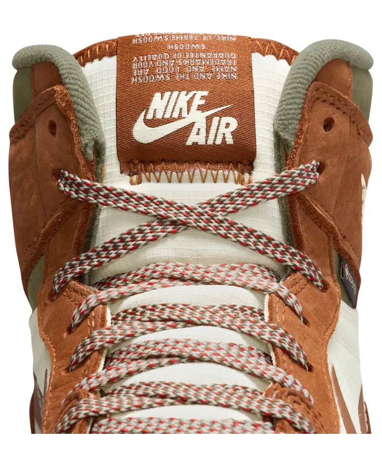 air-jordan-1 DB2889-102
