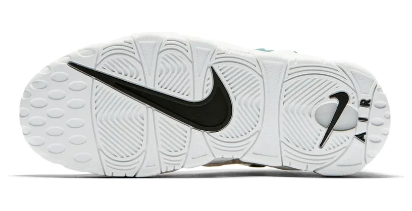 nike-air-more-money AJ1312-101