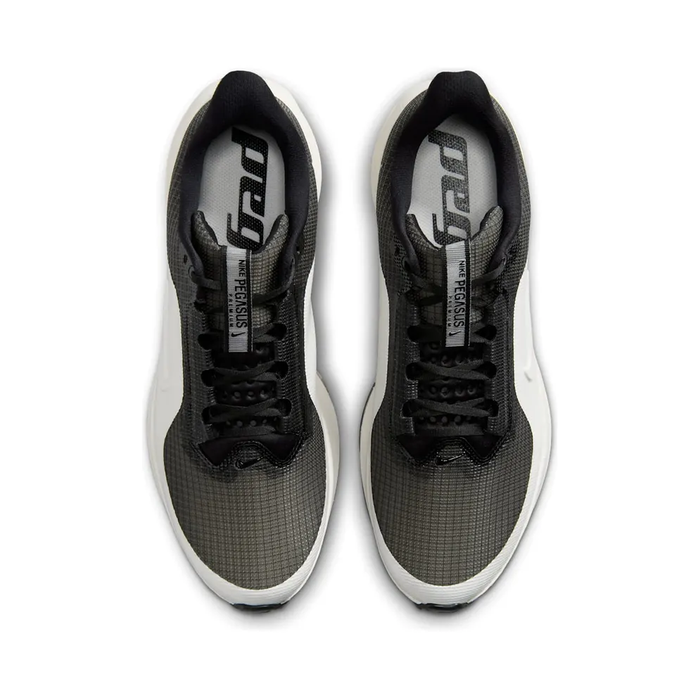 Nike Pegasus Premium SP “Black / Sail” (IR2166-001)