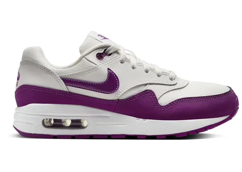 Nike Air Max 1 Summit White Viotech (DZ3307-109)