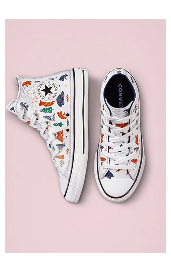 converse-chuck-taylor-all-star 672439C
