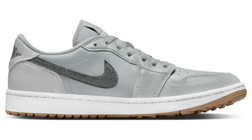 air-jordan-1-low DD9315-006