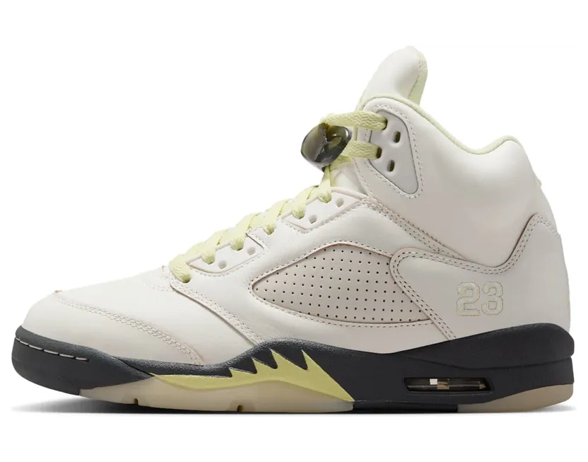 Air Jordan 5 IM7592-130