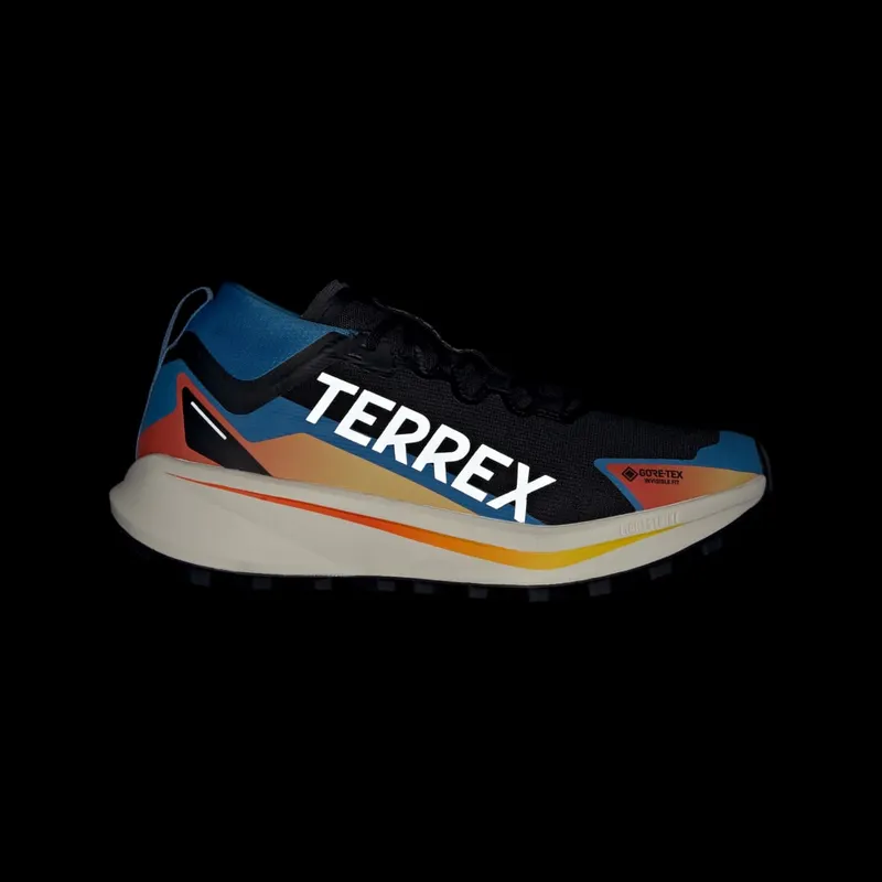 Adidas Terrex Agravic GTX Trail Running Core Black / Cloud White / Ray Blue (JR9105)