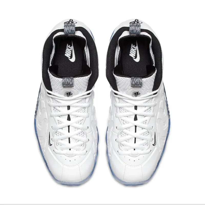 nike-little-posite 644791-102