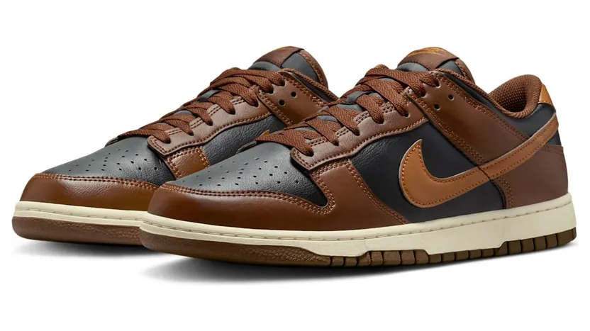 nike-dunk HF5441-004