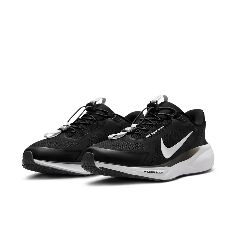 Nike Air Zoom Pegasus 41 EasyOn Black Anthracite Photon Dust White (FQ7837-002)