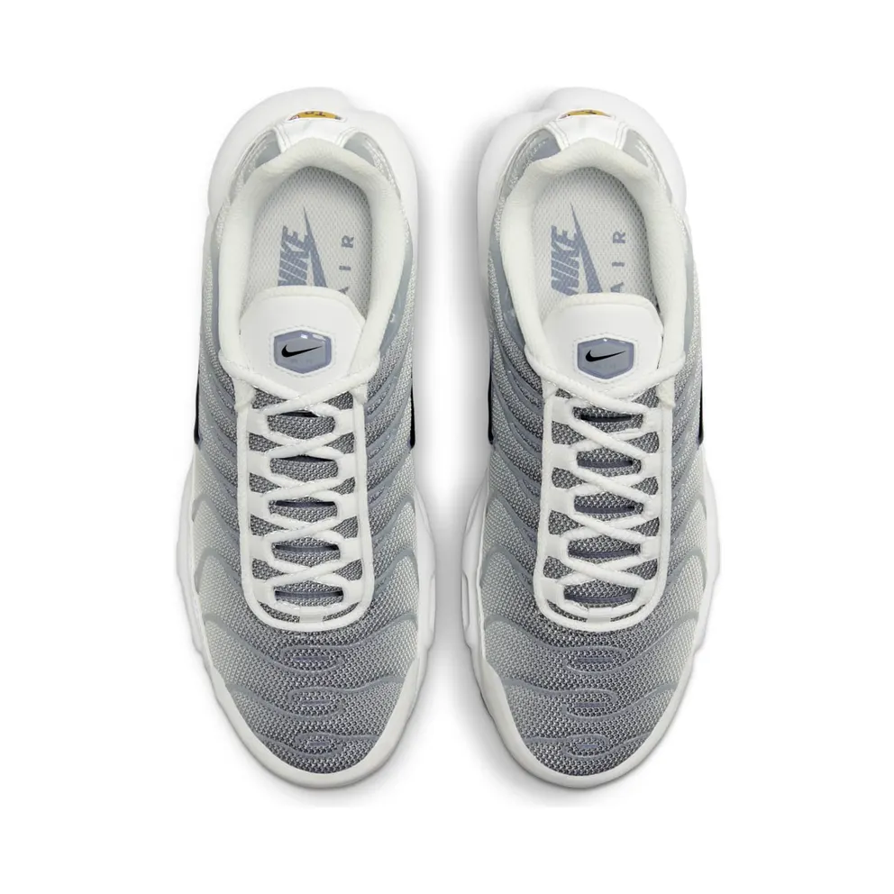 Nike Air Max Plus Smoke Grey Ashen Slate (FQ2892-100)