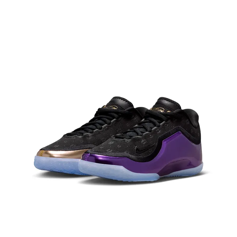 Nike LeBron 23 The Chosen One and The One Who Chose (IQ6709-001)