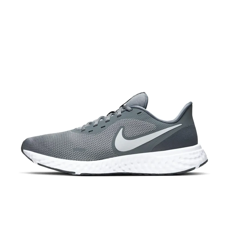 Nike Revolution 5 Cool Grey Cool Grey/Dark Grey-Pure Platinum (BQ3204-005)