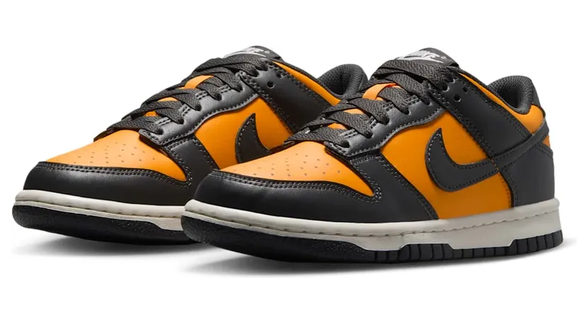 nike-dunk FB9109-701