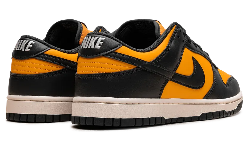 nike-dunk HF5441-700