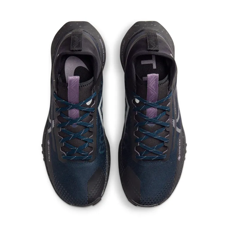 Nike Pegasus Trail 4 Gore-Tex Dark Obsidian Metallic Silver (FZ4343-400)