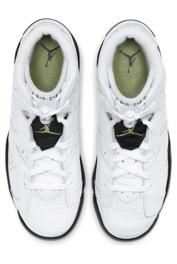 air-jordan-6 384665-110