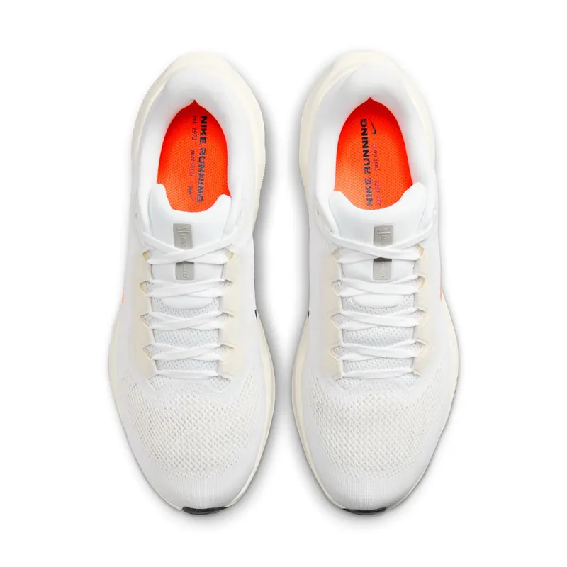 Nike Air Zoom Pegasus 41 PQ Anniversary (HF4300-100)