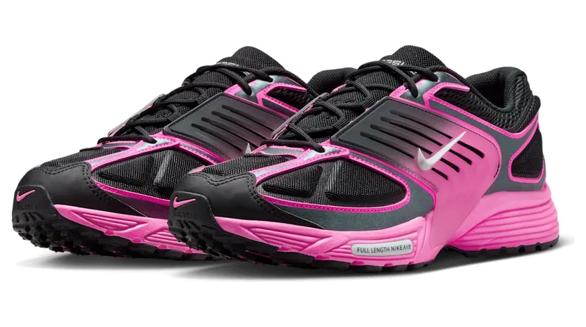 nike-air-pegasus IB0612-007